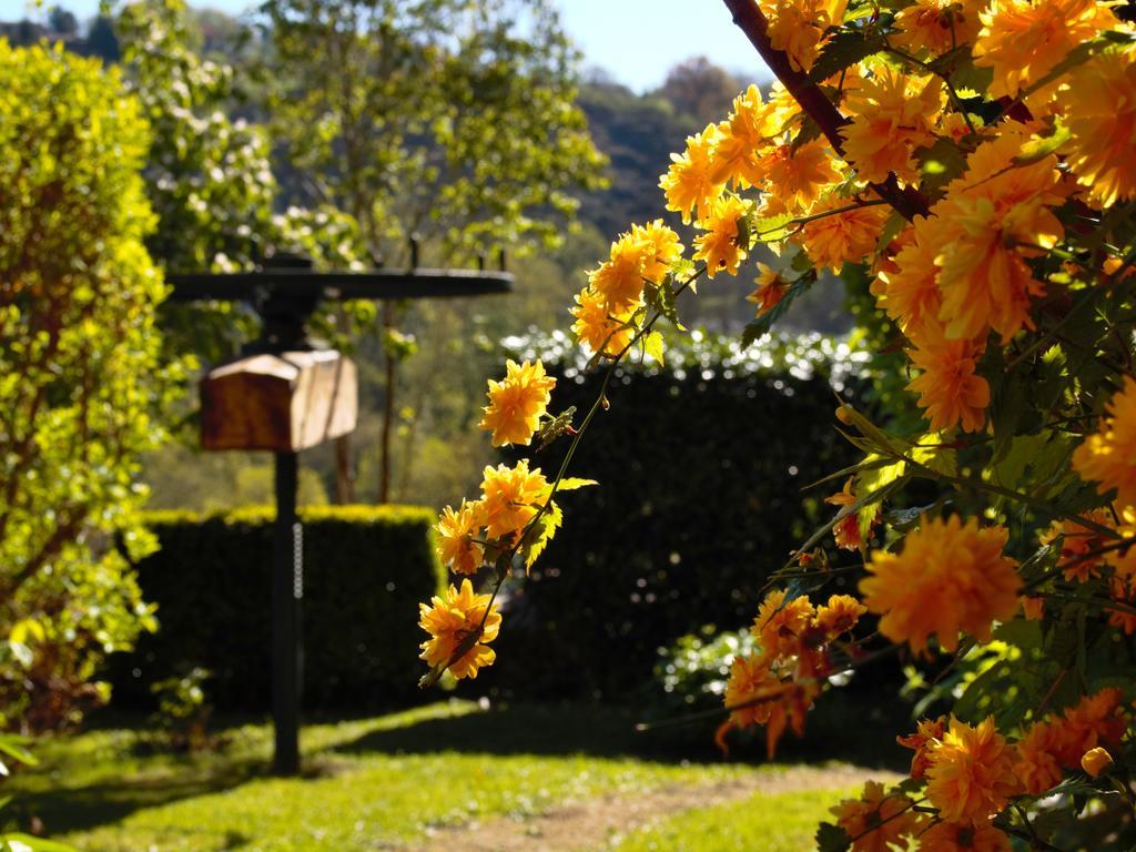 Vieille-Brioude Ermitage Saint Vincent B&B מראה חיצוני תמונה
